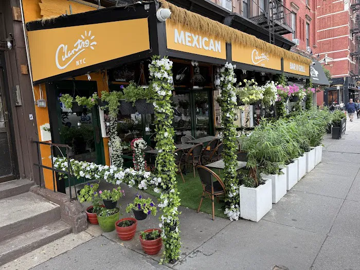 Cilantro NYC Picture 10