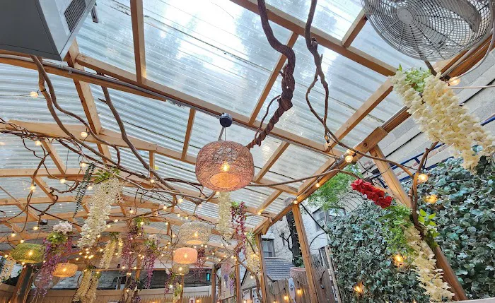 B. Cafe Picture 8