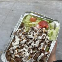 The Twins Halal Food ico