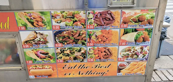 Halal Cart Picture 3