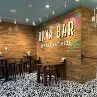 Baya Bar - Acai & Smoothie Shop ico