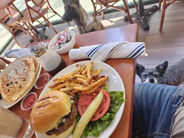 Barking Dog Restaurant Picture 4