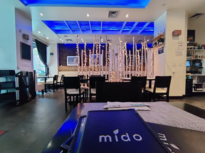 Mido Picture 3