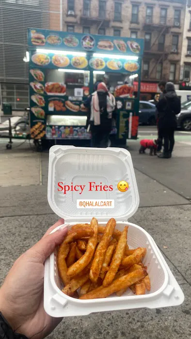 Q Halal Cart Picture 3