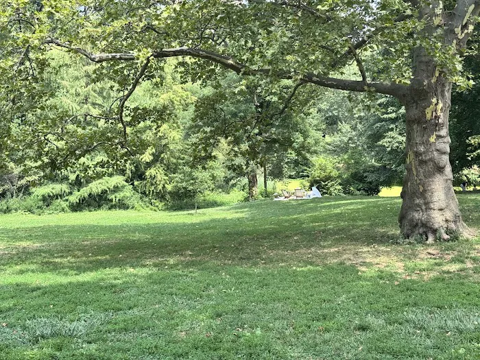 Perfect Picnic NYC Picture 7