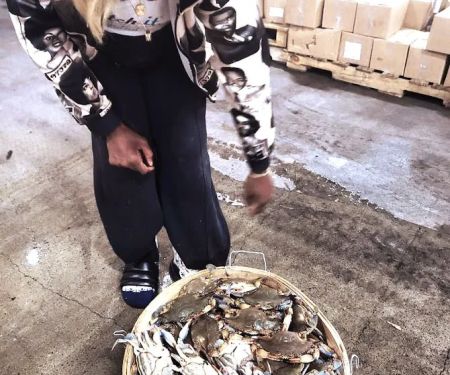 Catch It Seafood Box