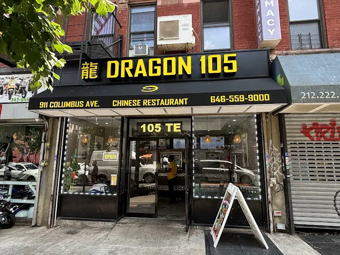 Dragon 105 Picture 4
