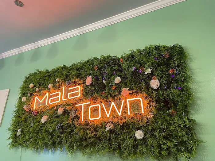 Mala Town Picture 8