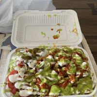 Palomino Halal Food ico