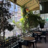 El Patio De Fela ico