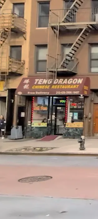 Teng Dragon Picture 10