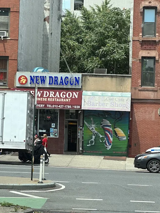 New Dragon Picture 8