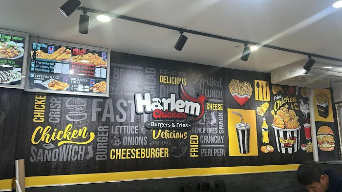 Harlem Chicken Burger & Fries Picture 2