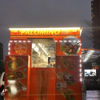 Palomino Halal Food ico