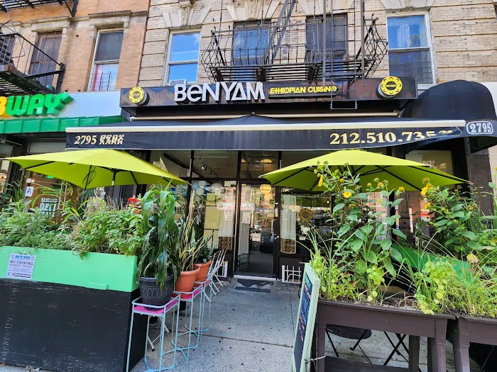 Benyam Picture 6