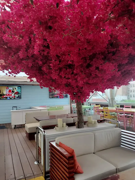 Republica Restaurant Rooftop & Lounge Picture 1
