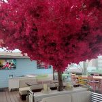 Republica Restaurant Rooftop & Lounge