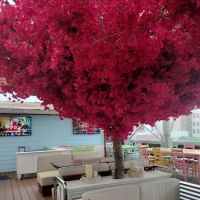 Republica Restaurant Rooftop & Lounge ico