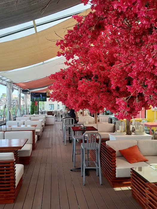 Republica Restaurant Rooftop & Lounge Picture 3