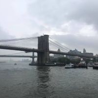 Golden Gate ico