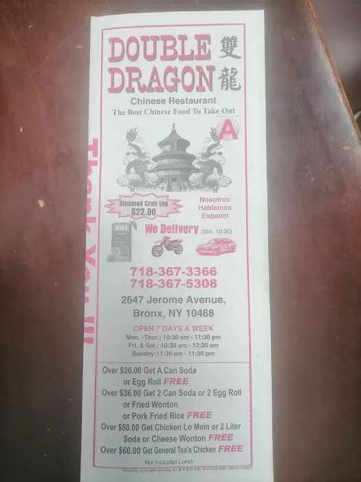 Double Dragon Picture 9