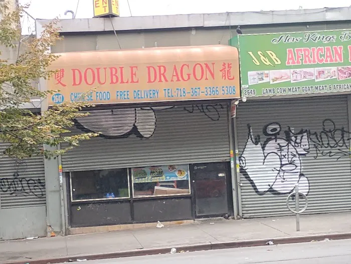 Double Dragon Picture 1