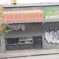 Double Dragon ico