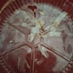 Tony's Pizza