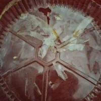 Tony's Pizza ico