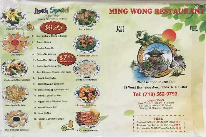 Ming Wong Picture 7