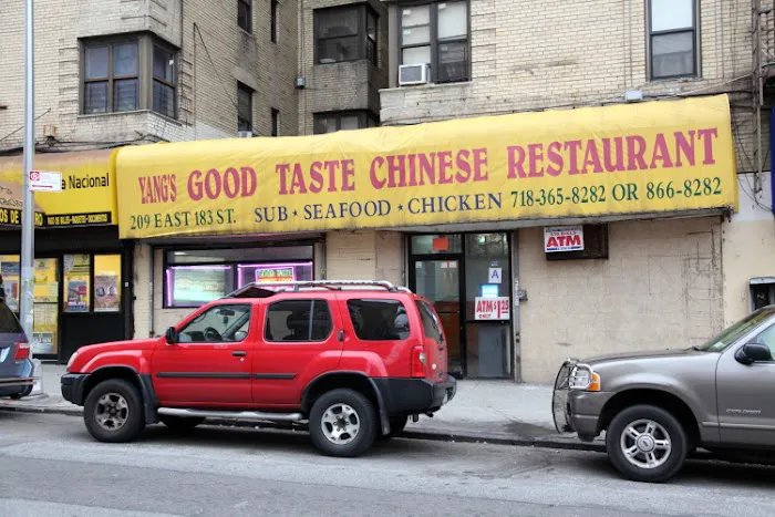 Yang's Good Taste Picture 2