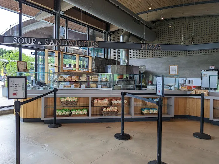 The Pine Tree Café Picture 8