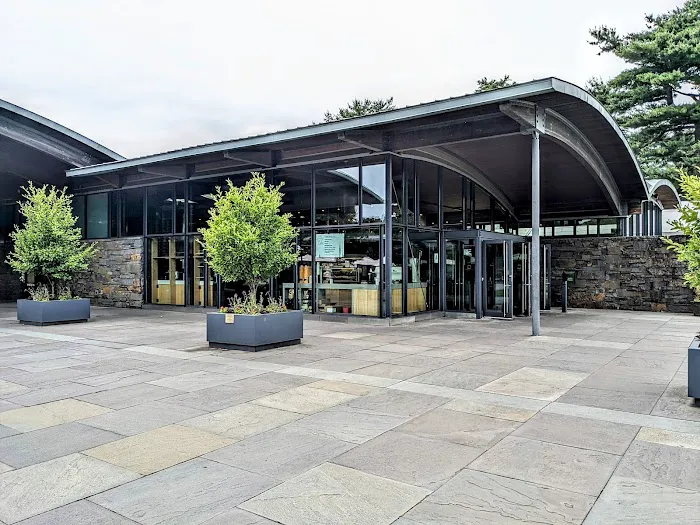 The Pine Tree Café Picture 1