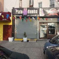 Plato & Rumba ico