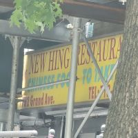 Wing Wong ico