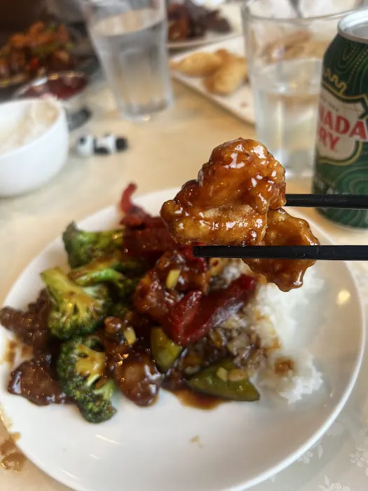 Anise Chinese Kitchen Picture 5