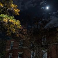 ARTHUR AVENUE ico