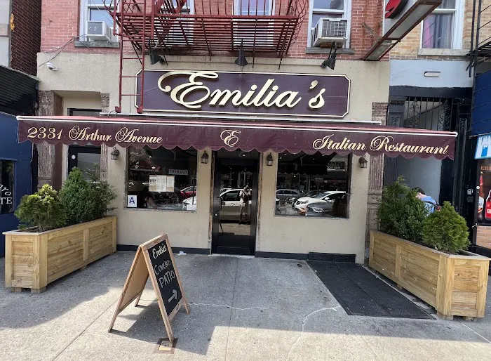 Emilia's Picture 6