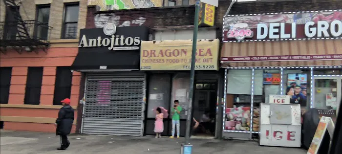 Dragon Sea Picture 5