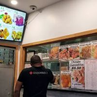 No. 1 China Garden ico