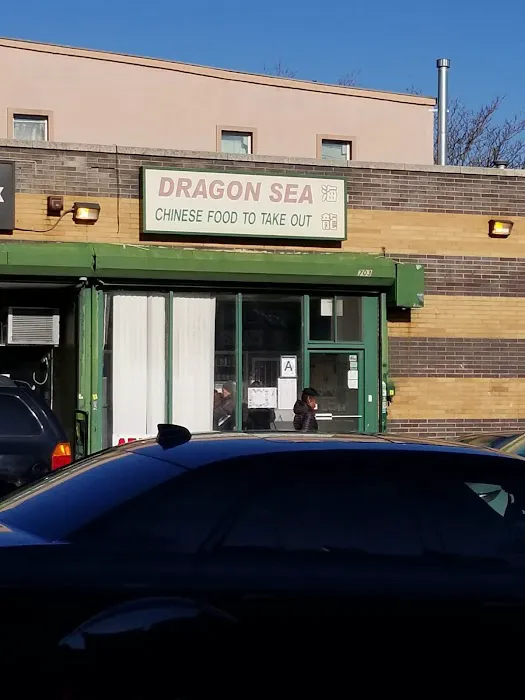 Dragon Sea Picture 6