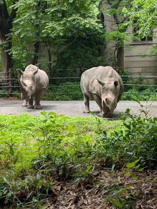 Zoo Brews Picture 5