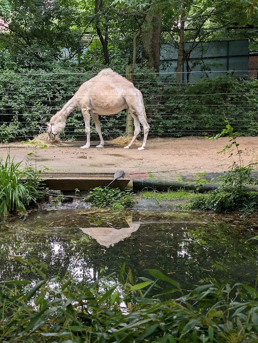 Zoo Brews Picture 4