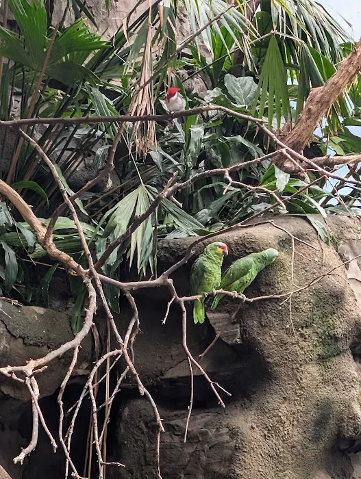 Zoo Brews Picture 1