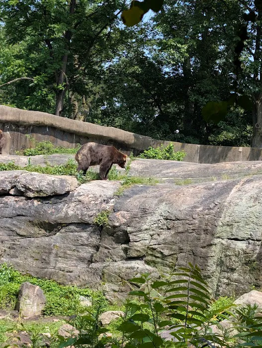 Zoo Brews Picture 7