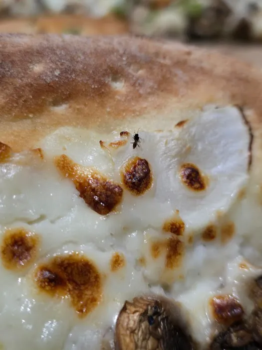 Papa Johns Pizza Picture 1