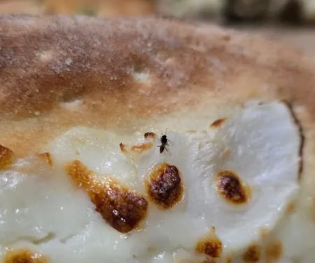 Papa Johns Pizza