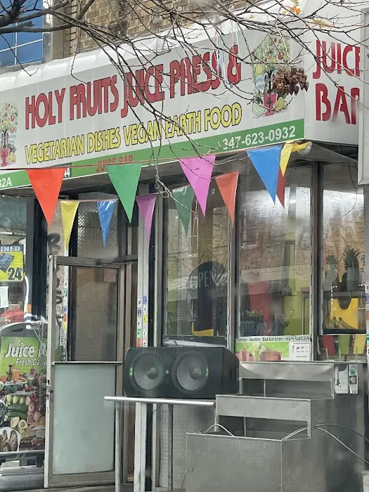 Holy Fruits Juice Press Picture 8