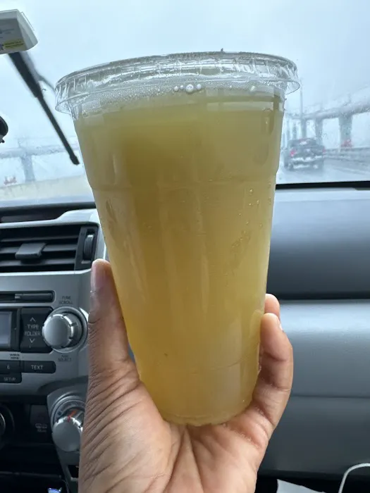 Holy Fruits Juice Press Picture 10