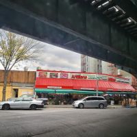 Ace Pizza ico